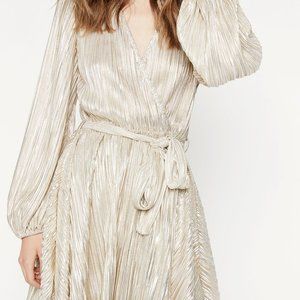 NWT Bardot Bellissa Pleat Dress in Prosecco - Size XS